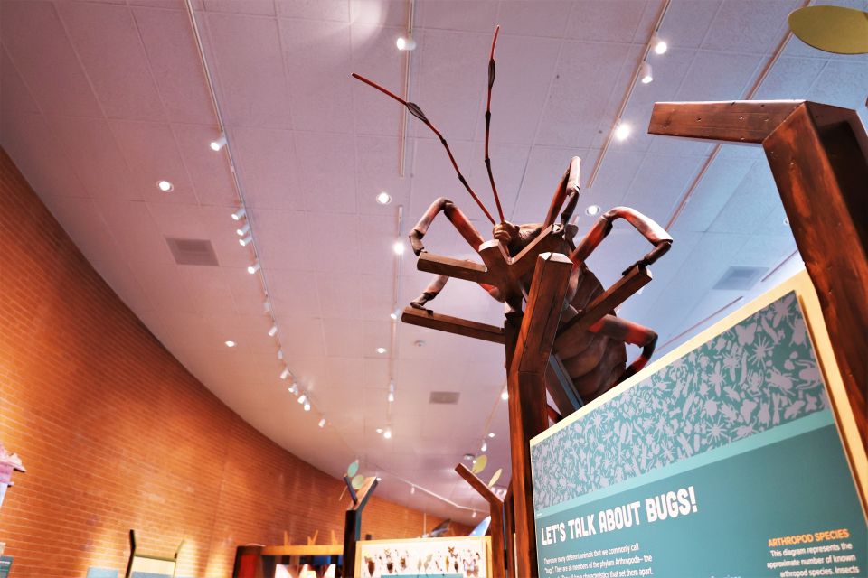 Tucson: Flandrau Science Center Entry Ticket - Frequently Asked Questions