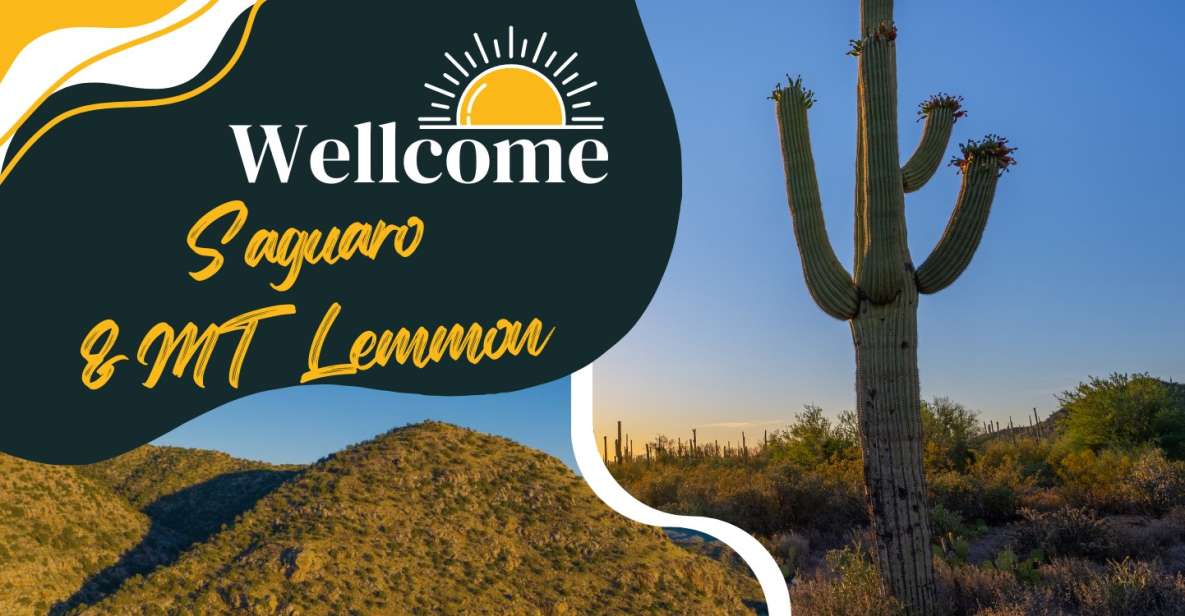 Tucson: Mt Lemmon & Saguaro NP Self-Guided Bundle Tour - Key Points