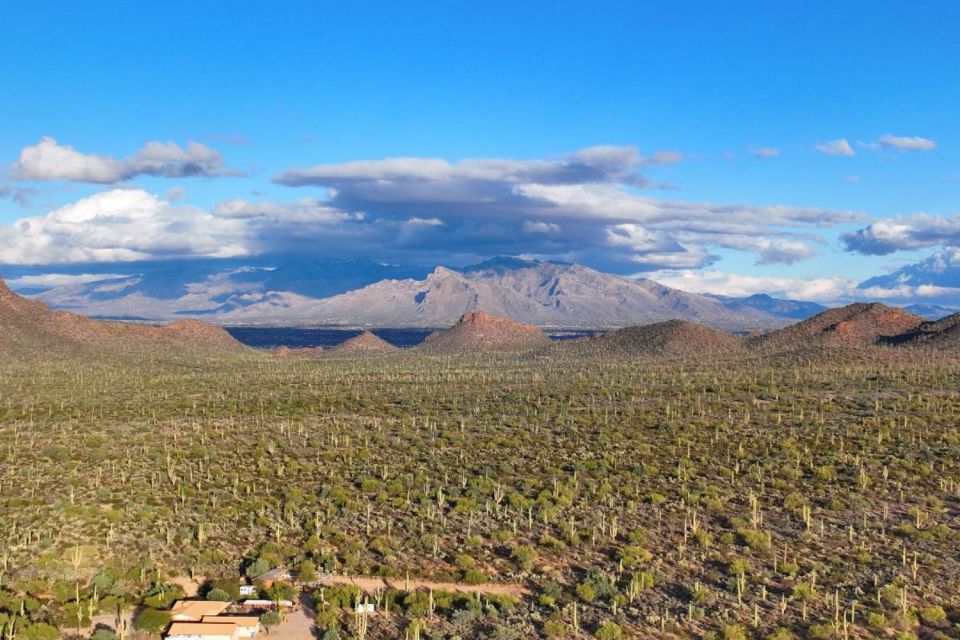 Tucson: Mt Lemmon & Saguaro NP Self-Guided Bundle Tour - Natural Attractions on Mount Lemmon