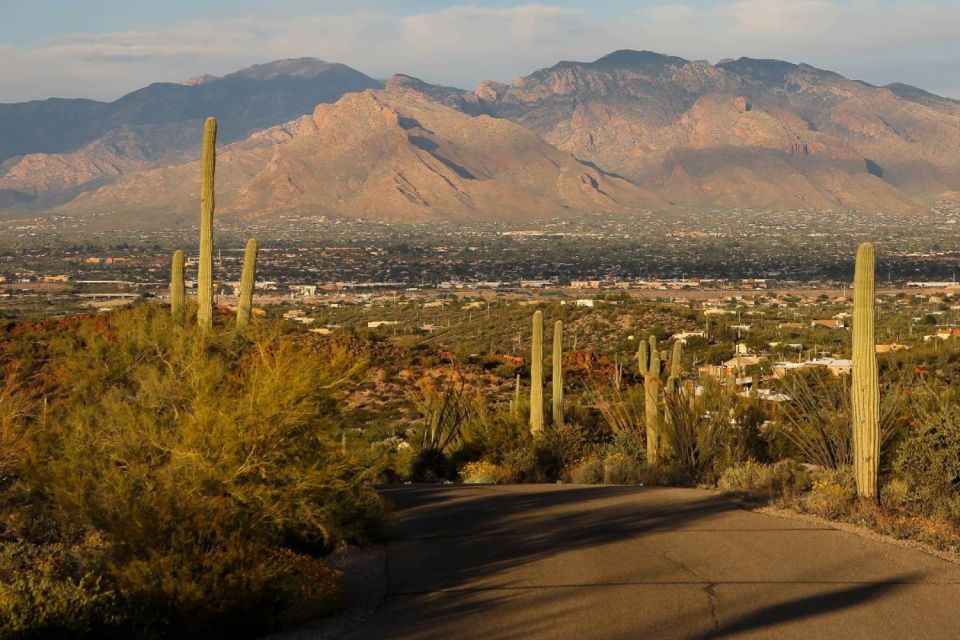 Tucson: Mt Lemmon & Saguaro NP Self-Guided Bundle Tour - Discovering Ancient Petroglyphs