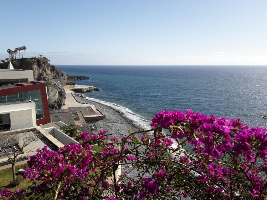 Tuk Tuk Camera at the Wolves - Madeira Island - Highlights of the Experience