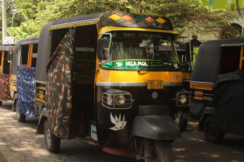 Tuk Tuk Experience Private Tour to Fort Kochi & Jewish Town. - Itinerary and Activities