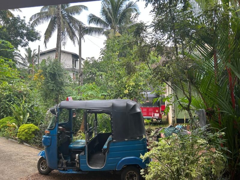 Tuk Tuk Rental - Experience Highlights