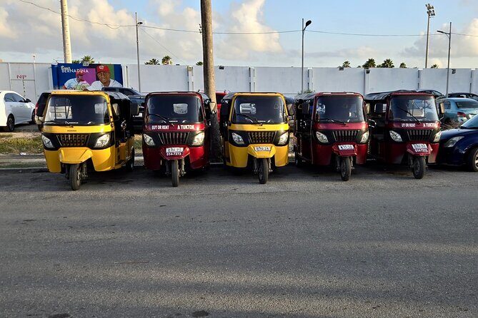 TukTuks Adventure Fun Tour in Curaçao - Who Will Enjoy This Tour Most?