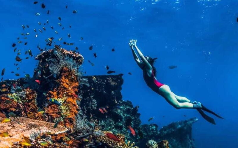 Tulamben: Underwater Paradise Scuba Diving Experience - The Experience Provider: Diskovera