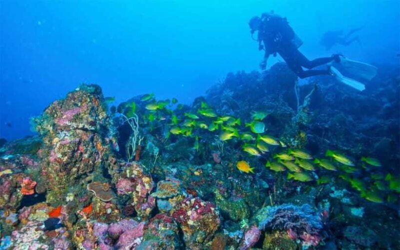 Tulamben: Underwater Paradise Scuba Diving Experience - The Sum Up