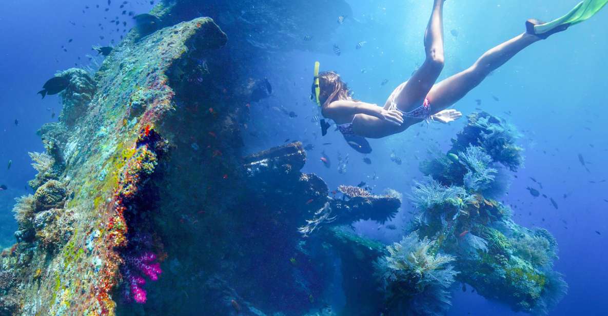 Tulamben: USAT Liberty Shipwreck Full-Day Snorkeling Trip - Key Points