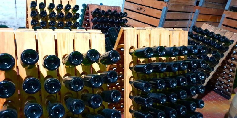 Tulbagh Wines. Private Tour With Winemaker. - Lunch and Dining Experience