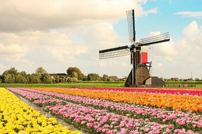Tulip Experience and Keukenhof Flower Gardens Tour From Amsterdam - Exploring Keukenhofs Floral Displays
