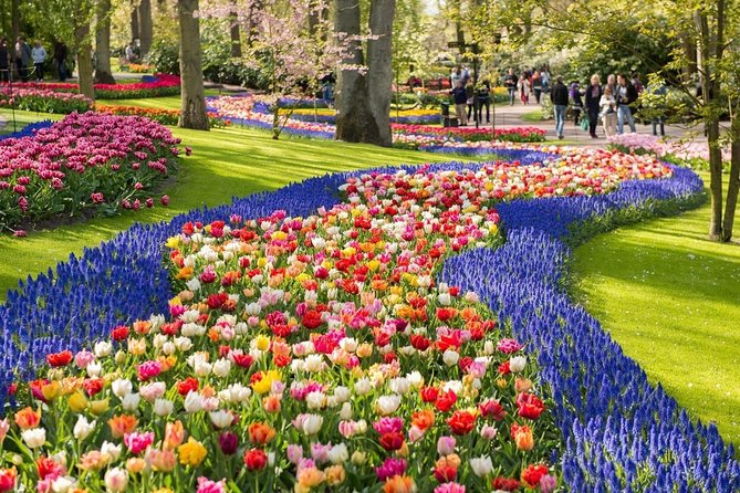 Tulip Experience and Keukenhof Flower Gardens Tour From Amsterdam - Private Day Trip From Amsterdam