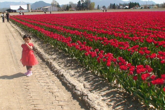 TULIP Festival @ Skagit Valley, La Conner & Deception Pass in SUV - Deception Pass Bridge