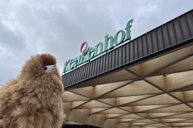 Tulip Paradise: Keukenhof Half-Day Private Tour - Key Points