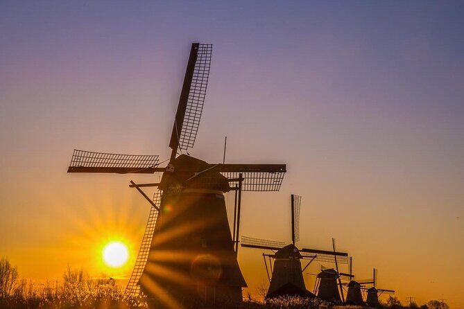 Tulips and Windmills Skip the Line Private Tour from Amsterdam - The Sum Up