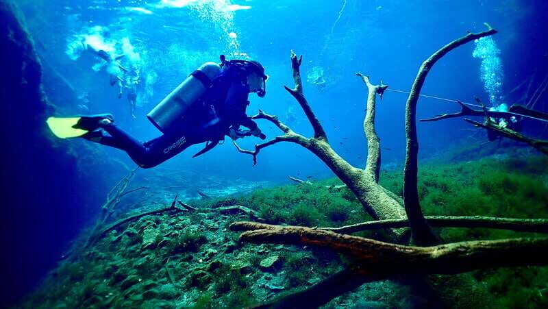 Tulum: 2 Tank Cenote Dive - Who Should Book?