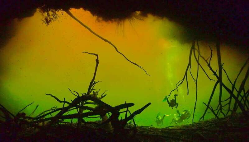 Tulum: 2 Tank Cenote Dive - Final Thoughts