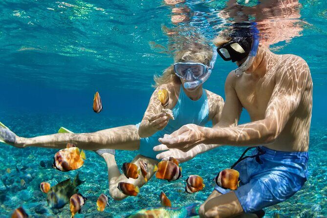 Tulum Adventure Combo: Mayan Ruins and Reef Snorkeling - What Travelers Say