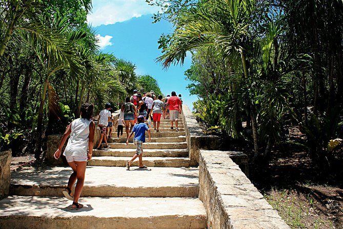 Tulum Adventure Reef Snorkeling and Cenotes Discovering - Detailed Insights for the Curious