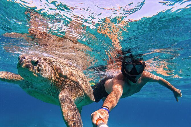 Tulum & Akumal: Swim with Turtles from Riviera Maya - FAQ About This Tour