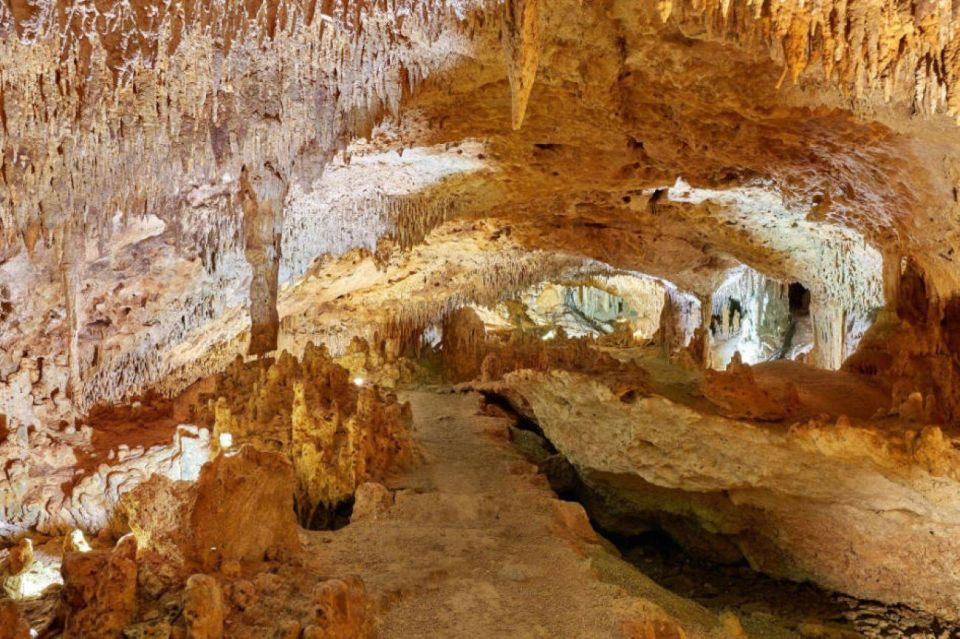 Tulum: Akumal Turtles and Underground Cenote Swim Tour - Savor the Local Cuisine