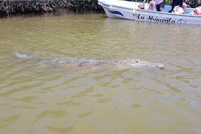 Tulum & Akumal with Sea Turtles + Las Coloradas 2-Day Tour - Practicalities and Tips