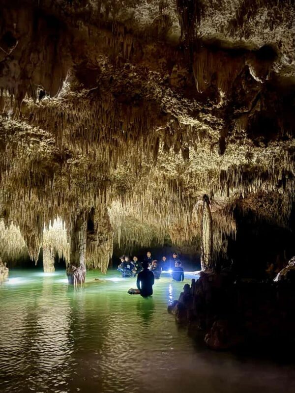 Tulum: Ancestral Waters Cave Cenotes Jungle Walk & Meal - Key Points