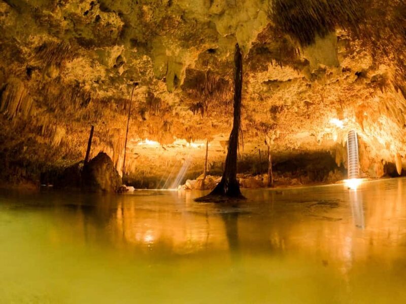Tulum: Ancestral Waters Cave Cenotes Jungle Walk & Meal - The Experience in Detail: A Step-by-Step