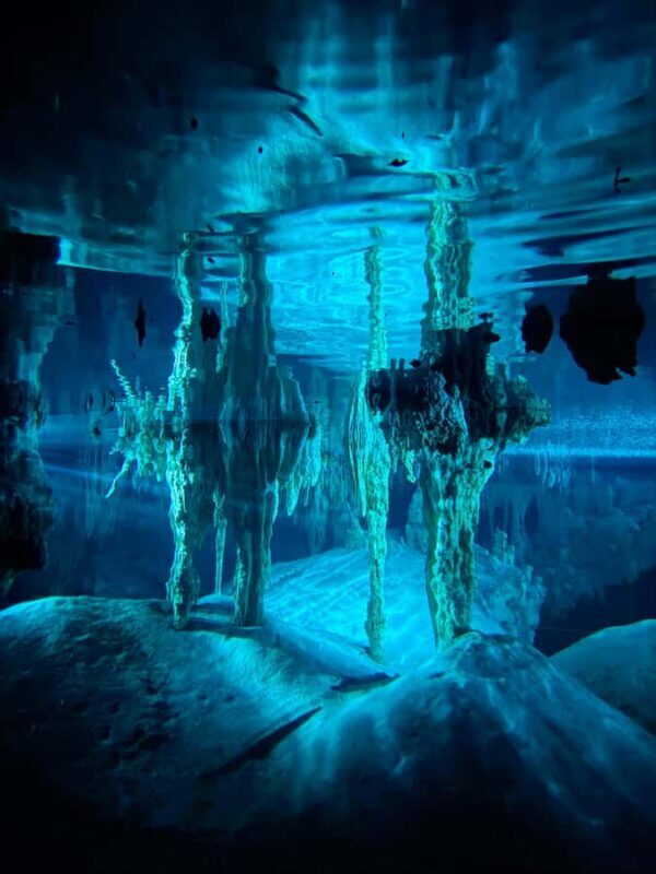 Tulum: Ancestral Waters Cave Cenotes Jungle Walk & Meal - Who Should Consider This Tour?