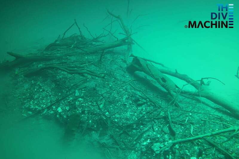 Tulum: Angelita & Carwash Cenotes Dive - An In-Depth Look at the Cenote Diving Experience