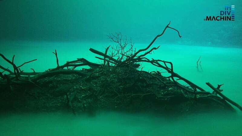 Tulum: Angelita & Carwash Cenotes Dive - Final Thoughts: Is This Tour Worth It?