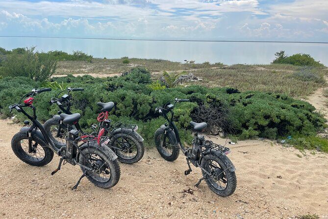 Tulum Area Experiences E-Bike Daily Rental - Exploring the Experience in Detail