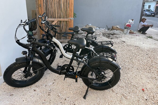 Tulum Area Experiences Guided E-Bike Tour- 3 Cenotes Snorkel/Swim & Local Lunch - Traveler Feedback