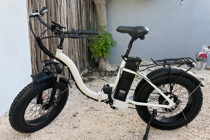 Tulum Area Experiences Guided E-Bike Tour- 3 Cenotes Snorkel/Swim & Local Lunch - Memorable Experiences