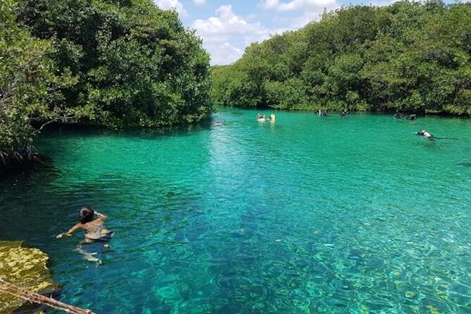 Tulum Area Experiences Guided Snorkeling Tour - Casa Cenote + Ocean Reef & Lunch - Snorkeling Experiences