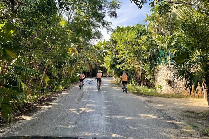 Tulum Area Guided E-Bike + Snorkeling Jungle Tour - Dos Ojos & 2 Cenotes + Lunch - A Deep Dive into the Tour Itinerary
