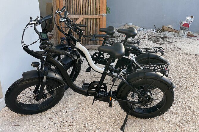 Tulum Area Guided E-Bike + Snorkeling Jungle Tour - Dos Ojos & 2 Cenotes + Lunch - Authenticity and Experience Quality