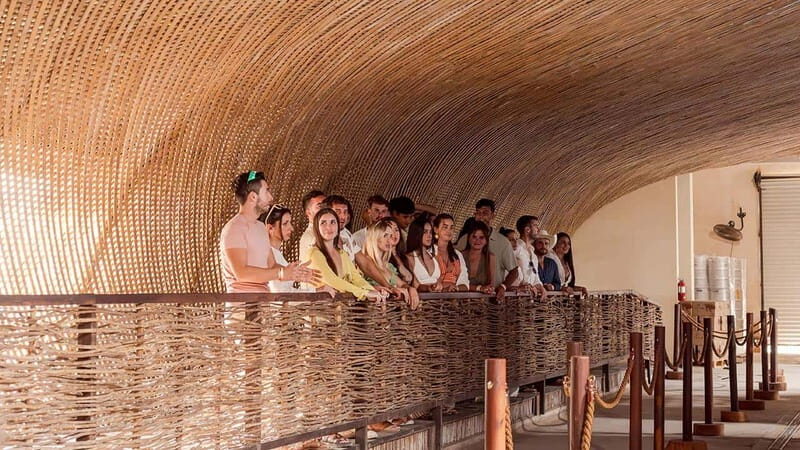 Tulum Beer Tasting Brewery Tour Beer School & Transportation - An In-Depth Look at the Tulum Beer Tasting Brewery Tour