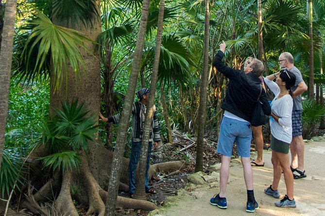 Tulum Bike Tour Tulum Maya Ruins Cenote Swimming Pueblo History Art Tacos Lunch - Savoring Authentic Mexican Tacos