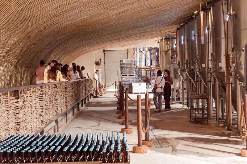 Tulum Brewery Tour and Brews & Bites - Who Will Love This Experience?