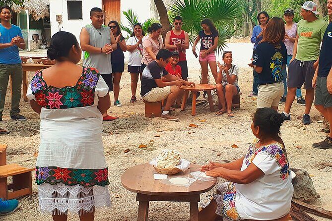 Tulum, Cenote, Coba Ruins & Fifth Avenue! Transportation from Playa Del Carmen - Transportation and Group Dynamics