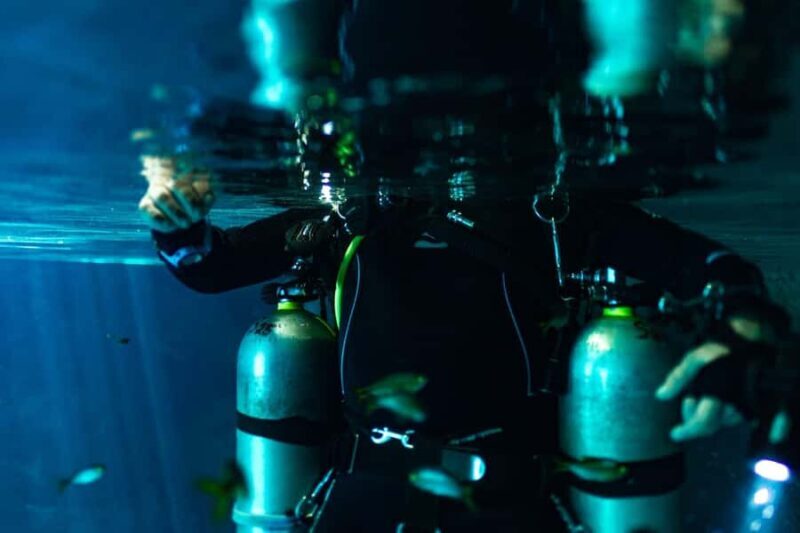 Tulum: Cenote Dos Ojos Dive  Dive Machine Experience - An In-Depth Look at the Dos Ojos Experience