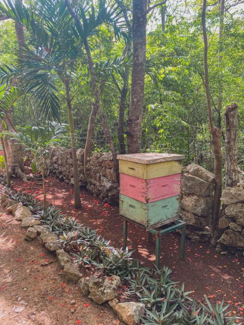 Tulum: Chichen Itza Ruins, Honey Tour With Lunch - Highlights of the Excursion