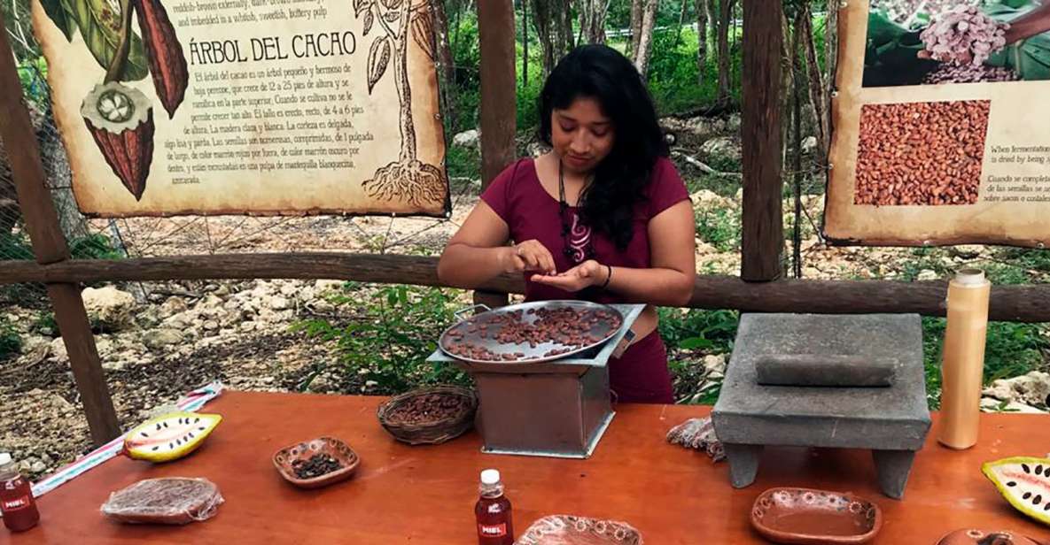 Tulum: Chocolate & Honey Sanctuary Experience With Lunch - Chocolate-Making Workshop