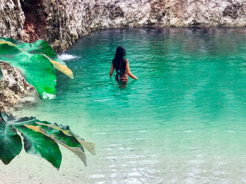 Tulum: Chocolate & Honey Sanctuary Experience With Lunch - Cenote Swimming Adventure