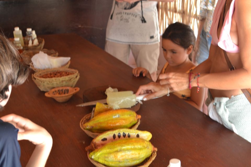 Tulum: Chocolate & Honey Sanctuary Experience With Lunch - Organic Lunch Highlights