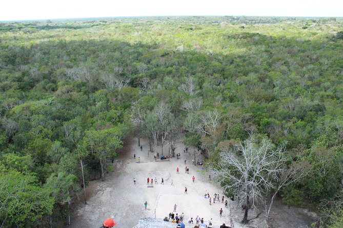 Tulum, Cobá Ruins & Cenote From Playa Del Carmen - Reviews and Feedback