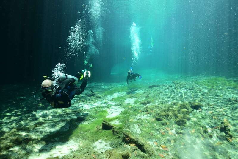 Tulum: Discover Scuba Diving in Cenotes - What to Expect from the Tour