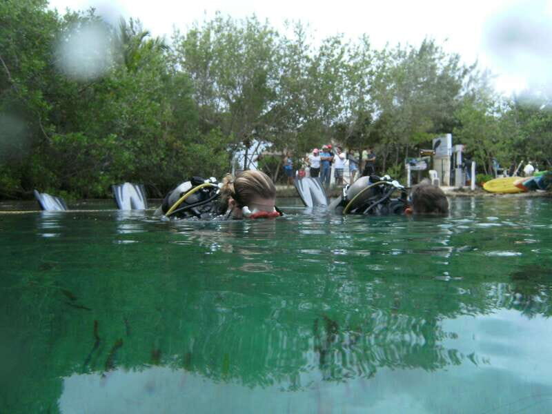 Tulum: Discover Scuba Diving in Cenotes - Who Will Love This Experience?