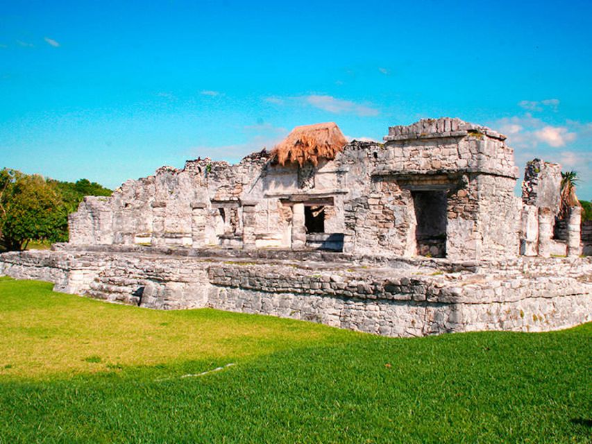 Tulum Discovery Private Tour - Key Points