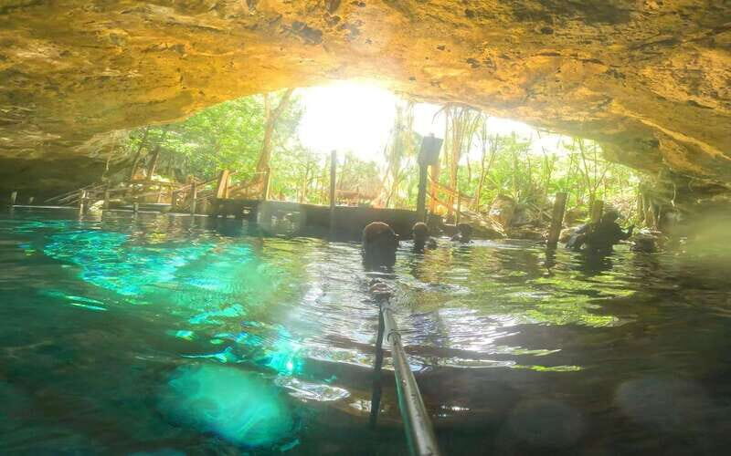 Tulum: Dos Ojos Cenote 2 Scuba Dives with Transfer Option - An In-Depth Look at the Tour Experience