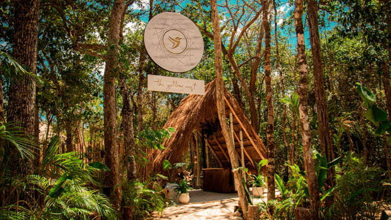 Tulum: Floating Breakfast in The Yellow Nest (Day Pass) - The Experience in Detail